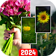Flower Wallpapers 4K: FULL HD para PC Windows
